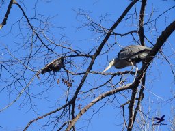 Tiergarten Schönbrunn am 27.01.2026